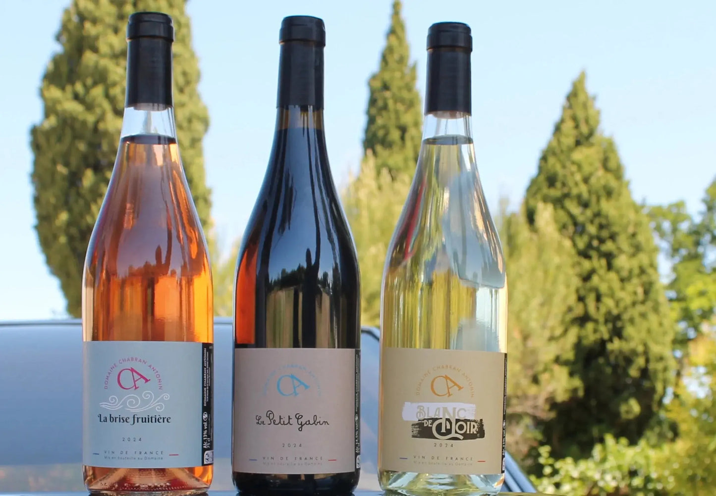 Carton découverte 2 rouges – 2 rosés – 2 blancs DomaineChabranAntonin